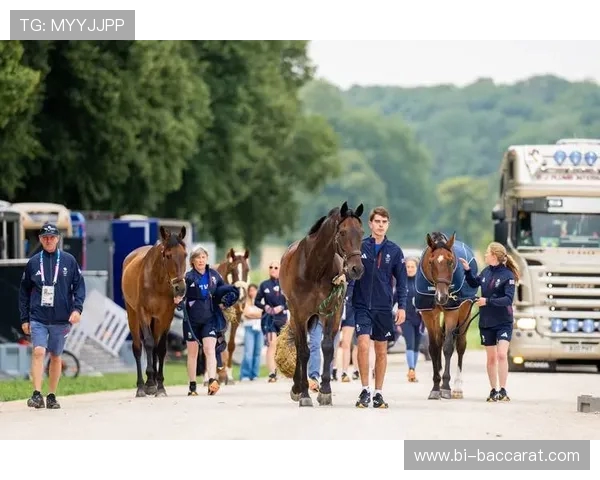 如何在ETG马术游戏中选择合适的马匹提升游戏体验和竞技水平